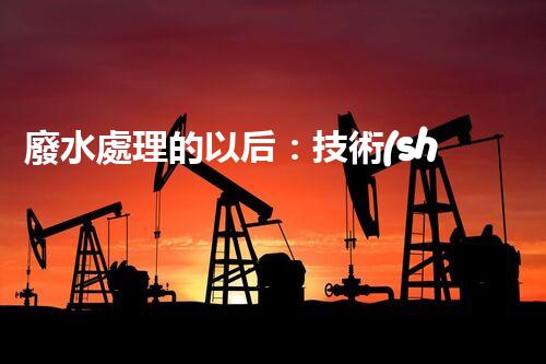 廢水處理的以后：技術(shù)創(chuàng)新與環(huán)境挑戰(zhàn)？
